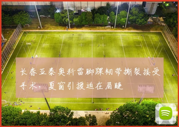 长春亚泰奥科雷脚踝韧带撕裂接受手术,夏窗引援迫在眉睫